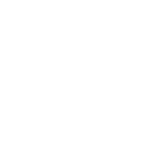Trailmaster IV Care logo